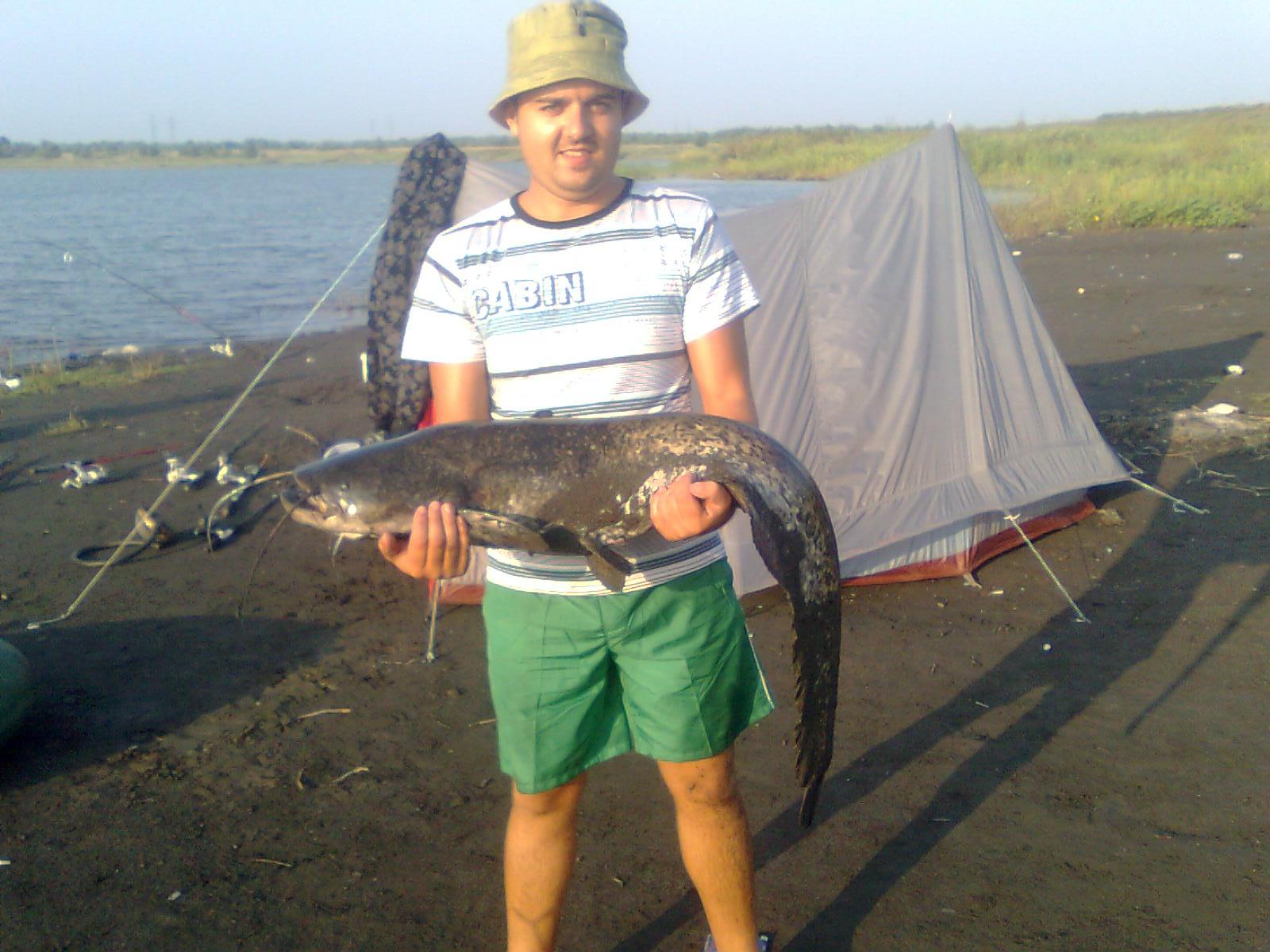 stetze - imagine0395.jpg